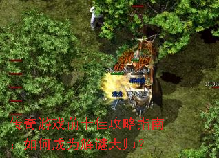 ������Ϸǰʮ�ѹ���ָ�ϣ���γ�Ϊ���մ�ʦ��