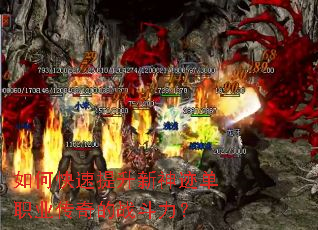 ��ο����������񼣵�ְҵ�����ս������