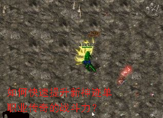 ��ο����������񼣵�ְҵ�����ս������