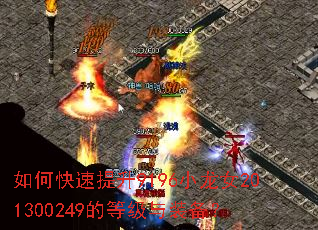 ��ο�������9196С��Ů201300249�ĵȼ���װ����