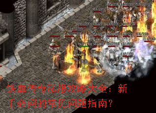 ��Ѫ����˽�����Դ�ȫ�����ֱ��ʵĳ�������ָ�ϣ�