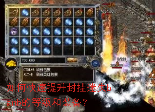 ��ο������������ʧbanb�ĵȼ���װ����