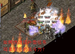 ��ο����������Ӳ�񷵥ְҵ��ս������