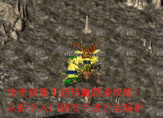 �����·�������Ѫ��ҵ���ԣ����������ŵ����ֽ���ȫ����