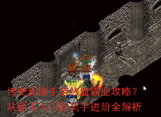 �����·�������Ѫ��ҵ���ԣ����������ŵ����ֽ���ȫ����