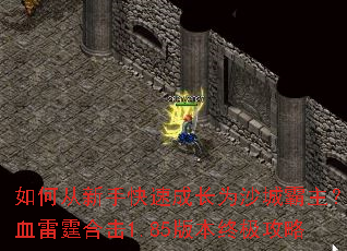 ��δ����ֿ��ٳɳ�Ϊɳ�ǰ�������Ѫ�����ϻ�1.85�汾�ռ�����