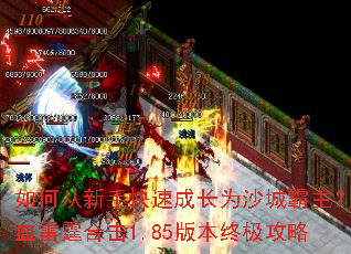 ��δ����ֿ��ٳɳ�Ϊɳ�ǰ�������Ѫ�����ϻ�1.85�汾�ռ�����