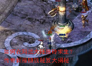 ������귨��½��ש�����������·�׬Ǯ���Ŵ����