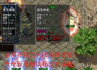 ������귨��½��ש�����������·�׬Ǯ���Ŵ����