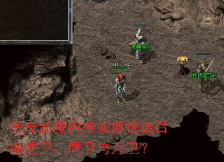 �����·��ڹ���ο����ٻ�������ӥ���뵶����