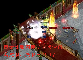 �����·��ڹ���ο����ٻ�������ӥ���뵶����