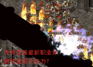 ����ٷ�����ְҵ��ο�������ս����