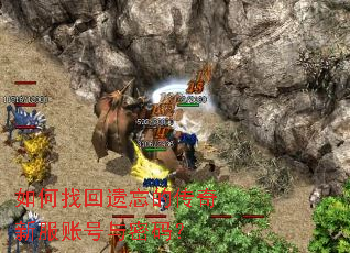 ����һ������Ĵ����·��˺������룿