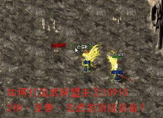 如何打造武林盟主②109102神·圣兽·玄武的顶级装备? 如何打造武林盟主②109102神·圣兽·玄武的顶级装备?