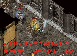 ������ο�������Ӣ�ۺϻ�195�洫���·���ǿ�ƹ����������