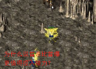 Ϊʲô˵��ɱ���ױ���ֵ��Ͷ�뾫����