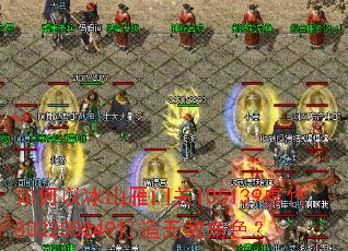 ����Ա�ɽ���Ź�105139����802200249�����޵н�ɫ��