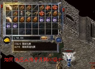 ��ο��ٴ���������60����