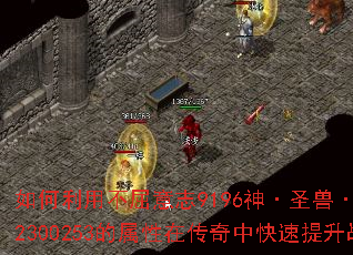 ������ò�����־9196��ʥ�ޡ���ȸ302300253�������ڴ����п�������ս����