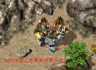 ��ο��������¿��������Σ�