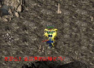 ��ְҵ���������׬Ǯ��