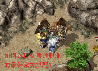 ���ѡ��ѱ��ʦְҵ����ѳ�����䣿