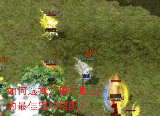 ���ѡ��ѱ��ʦְҵ����ѳ�����䣿