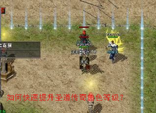 ��ο�������ʥ�������ɫ�ȼ���