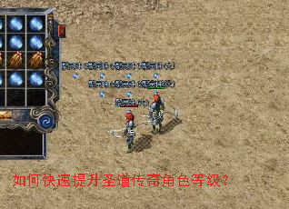 ��ο�������ʥ�������ɫ�ȼ���