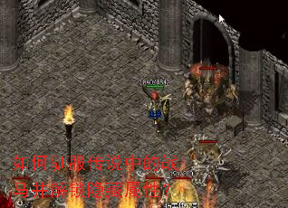 ���ѱ����˵�е�ս���������������ԣ�