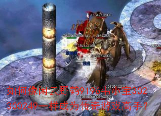 ���������Ұ��9196ΤС��302300249һ����Ϊ������Ϸ���֣�