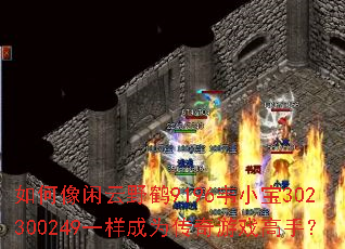 ���������Ұ��9196ΤС��302300249һ����Ϊ������Ϸ���֣�