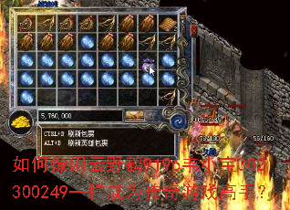 ���������Ұ��9196ΤС��302300249һ����Ϊ������Ϸ���֣�