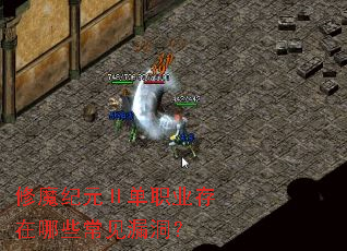 ��ħ��Ԫ��ְҵ������Щ����©����