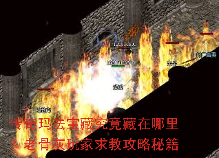 �����귨���ؾ�����������Ϲǻ������̹����ؼ�