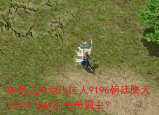 ��γ�Ϊ��������9196��͢ӥȮ203300249�Ĵ��������