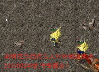 ��γ�Ϊ��������9196��͢ӥȮ203300249�Ĵ��������