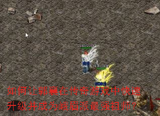 ����ù����ڴ�����Ϸ�п�����������Ϊ��ü����ǿ��ʦ��