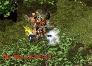 ��θ�Ч����75�����