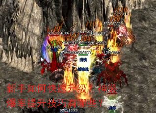 ������ο�����������װ����������������Щ��