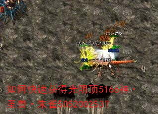 ��ο��ٻ�ù�����5166��ʥ�ޡ���ȸ505200253��