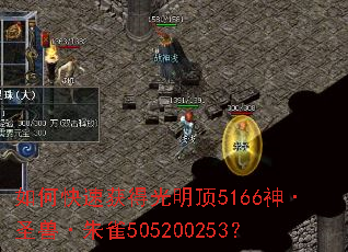 ��ο��ٻ�ù�����5166��ʥ�ޡ���ȸ505200253��