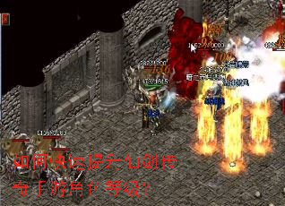 ��ο��������ɽ��������ν�ɫ�ȼ���