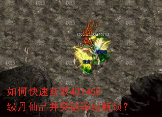 ��ο��ٻ�ȡ401450������Ʒ��ͻ�Ƶȼ�ƿ����