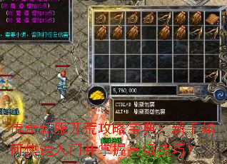 �����·����Ĺ��Ա��䣿������ο������Ų����ո߼����ɣ�