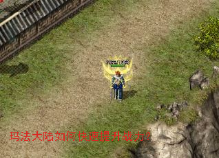 �귨��½��ο�������ս����