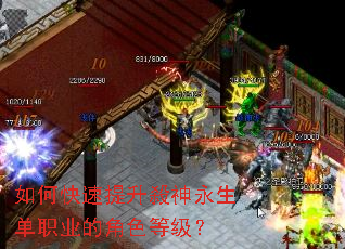 ��ο�����������������ְҵ�Ľ�ɫ�ȼ���