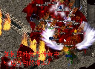 ����������Ŵ������������ı��ʣ�