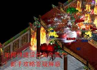 ��ο���������ɫʵ�������ֹ��Դ��ɽ��