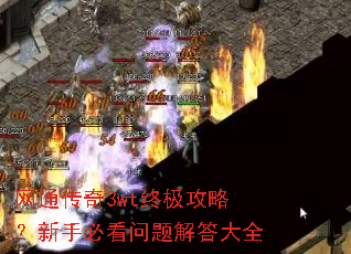 ��ͨ����3wt�ռ����ԣ����ֱؿ��������ȫ